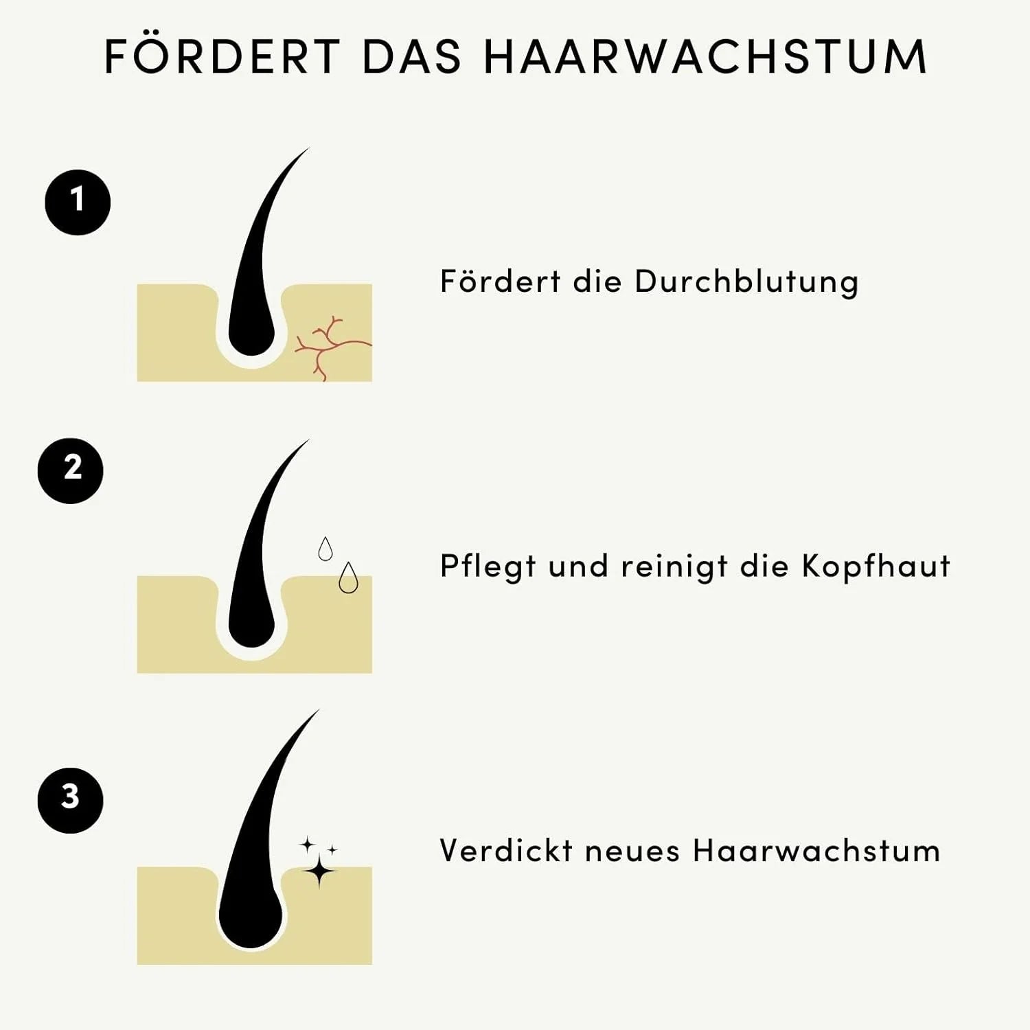 Erwecke dein Haar zu vollem Glanz!